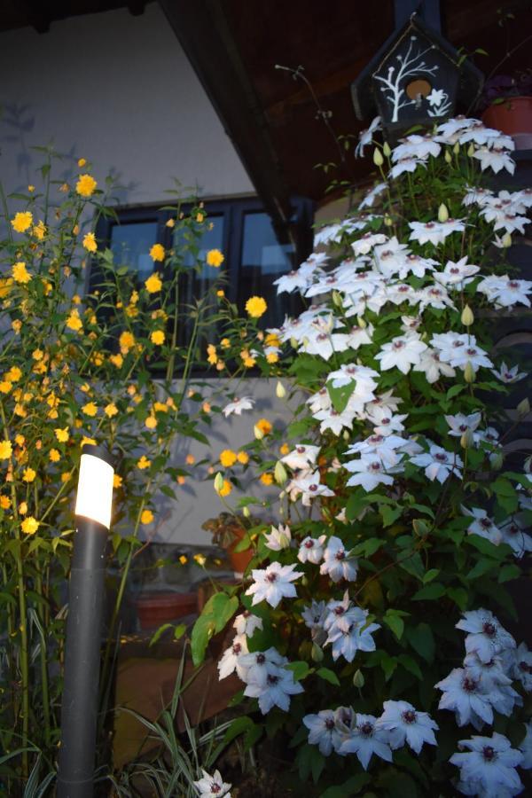 Clematis House Villa Voroneț Eksteriør billede