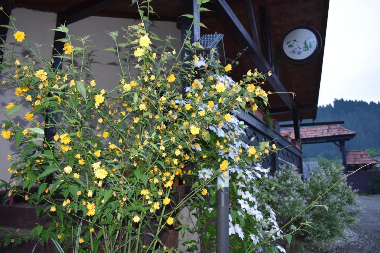 Clematis House Villa Voroneț Eksteriør billede