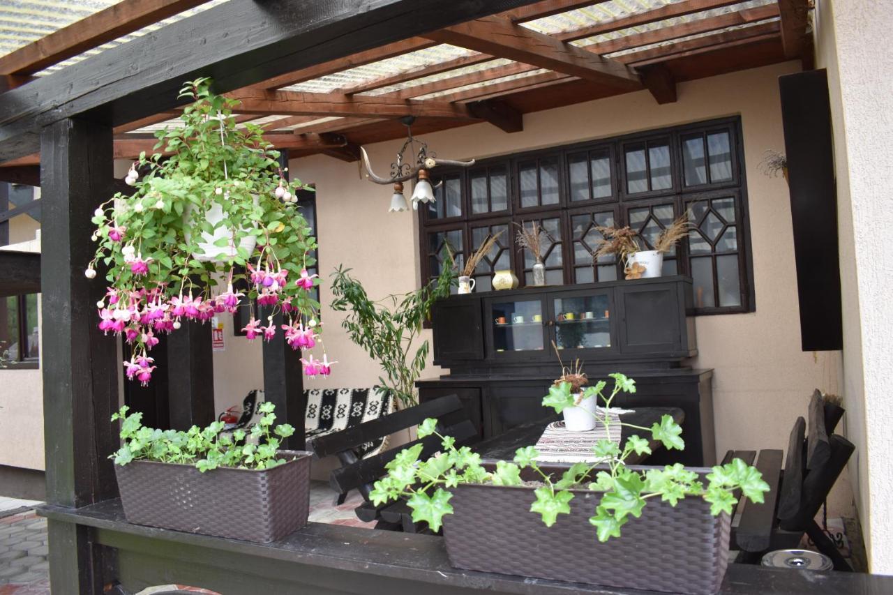 Clematis House Villa Voroneț Eksteriør billede