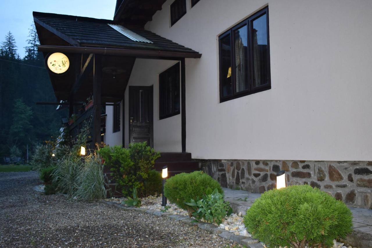 Clematis House Villa Voroneț Eksteriør billede