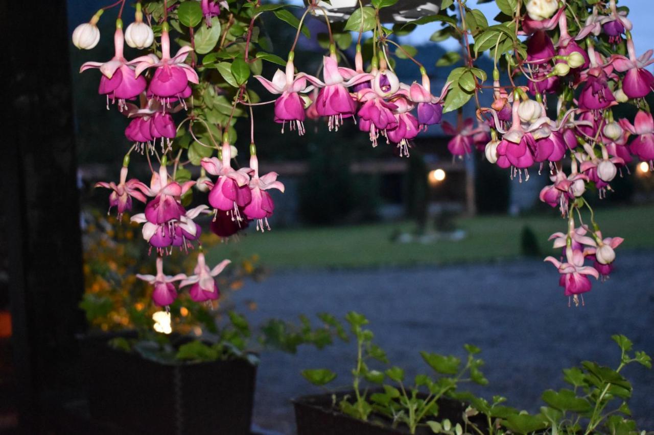 Clematis House Villa Voroneț Eksteriør billede