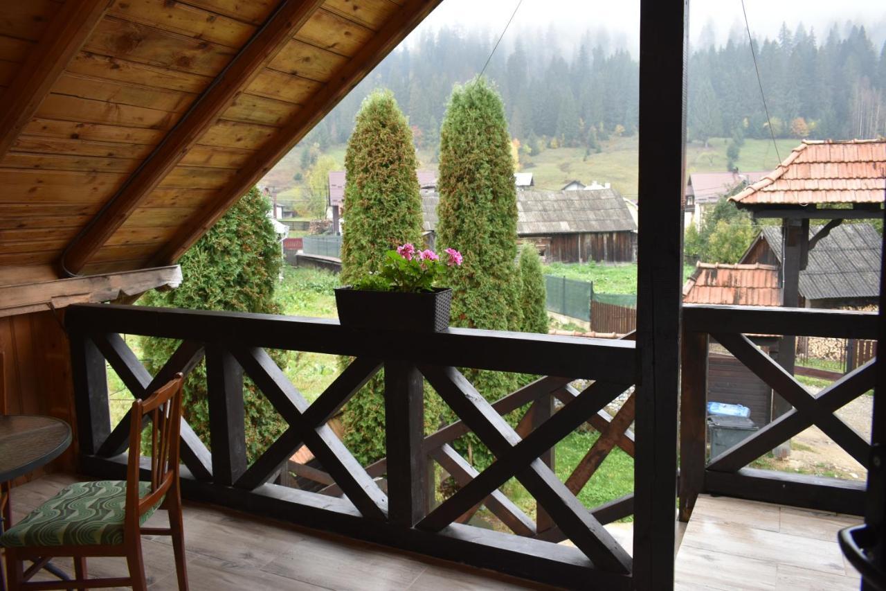 Clematis House Villa Voroneț Eksteriør billede
