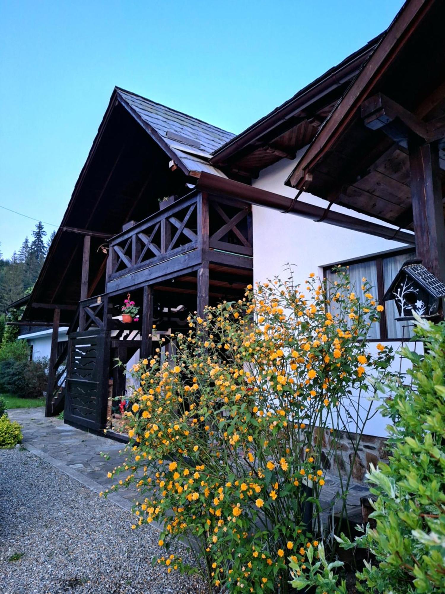 Clematis House Villa Voroneț Eksteriør billede