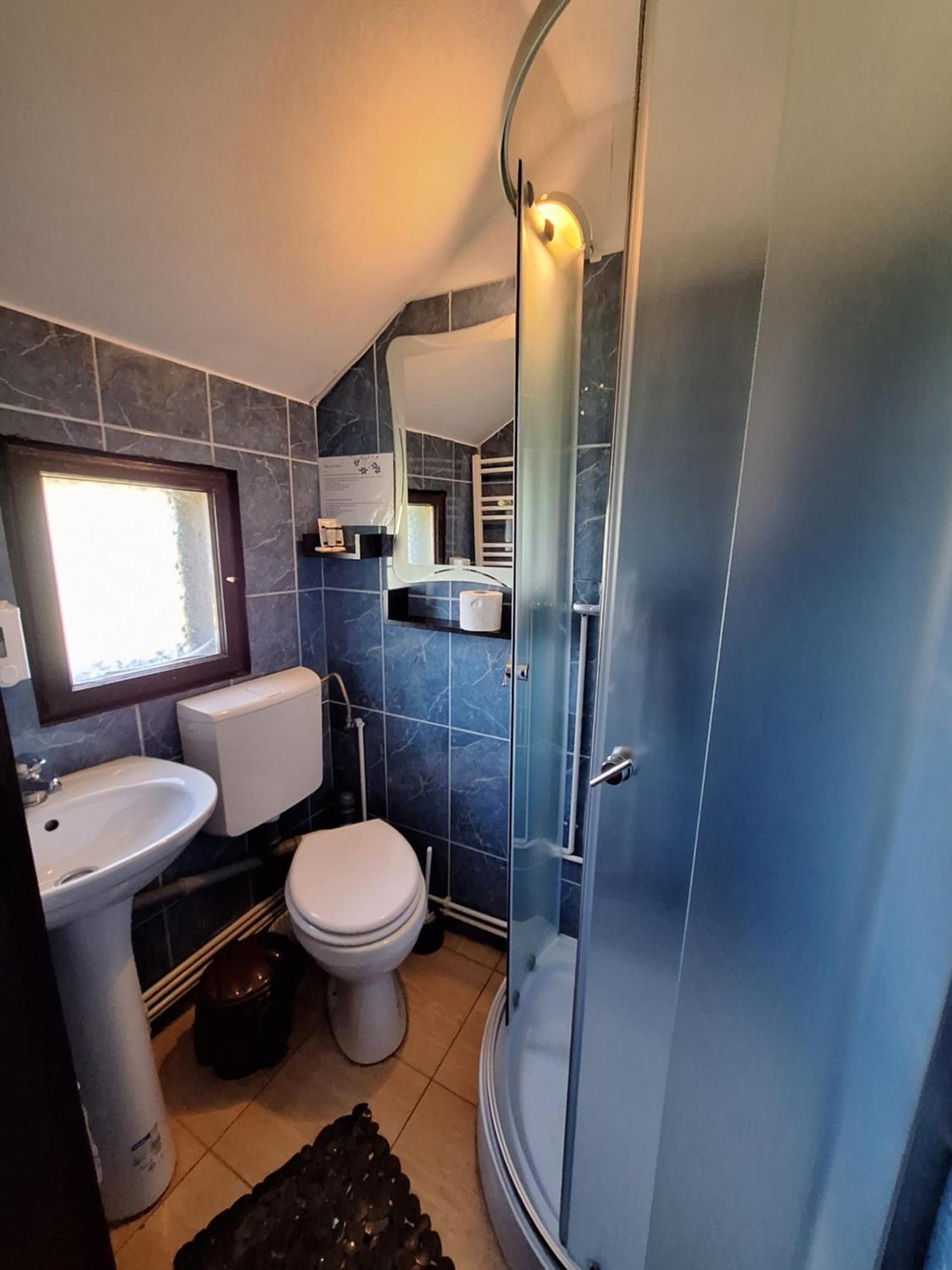 Clematis House Villa Voroneț Eksteriør billede